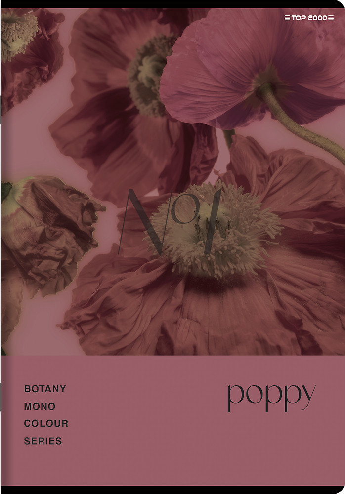 Zeszyt A5/60k kratka Botany 70g TOP2000